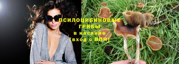 меф Армянск