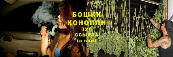 PSILOCYBIN Аркадак