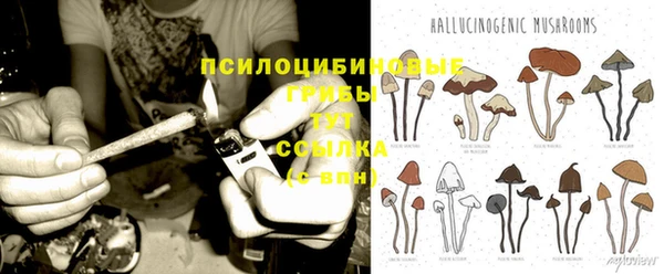 PSILOCYBIN Аркадак