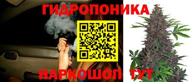 сатива Волжск