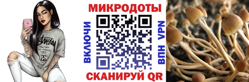 закладки  маркетплейс клад  Псилоцибиновые грибы прущие грибы  Минусинск 